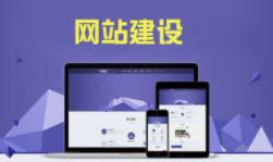 西安網(wǎng)絡(luò )推廣公司
